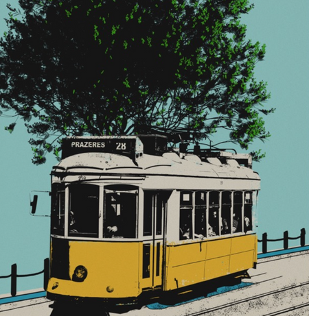 Travel