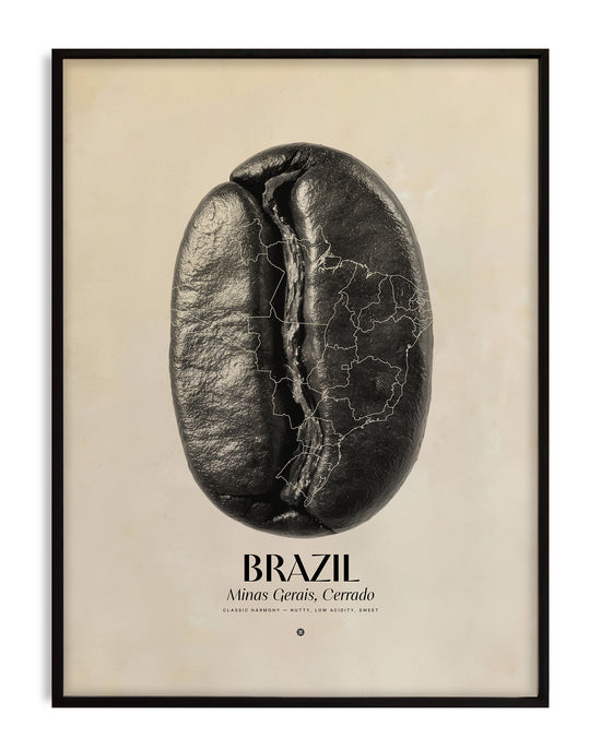Brazil Coffee Origins