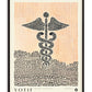 Black-framed Caduceus art print featuring a black dotted winged staff and snakes over peach and black halftone fields.