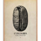 Oak-framed Colombia Antigua, Huehuetenango art print featuring a black coffee bean with map outlines.