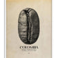 White-framed Colombia Antigua, Huehuetenango art print featuring a black coffee bean with map outlines.