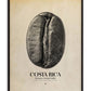 Black-framed Costa Rica coffee origins art print featuring a black-and-white coffee bean overlaid with map lines on a cream background.