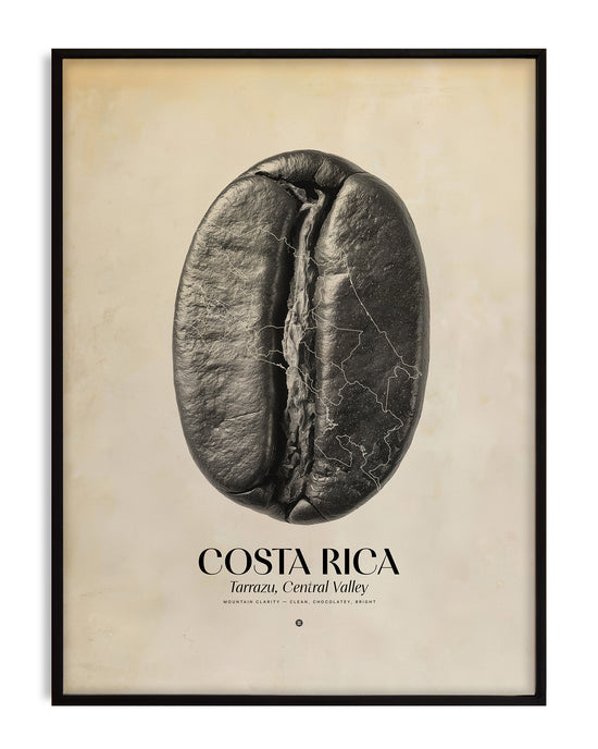 Costa Rica Coffee Origins