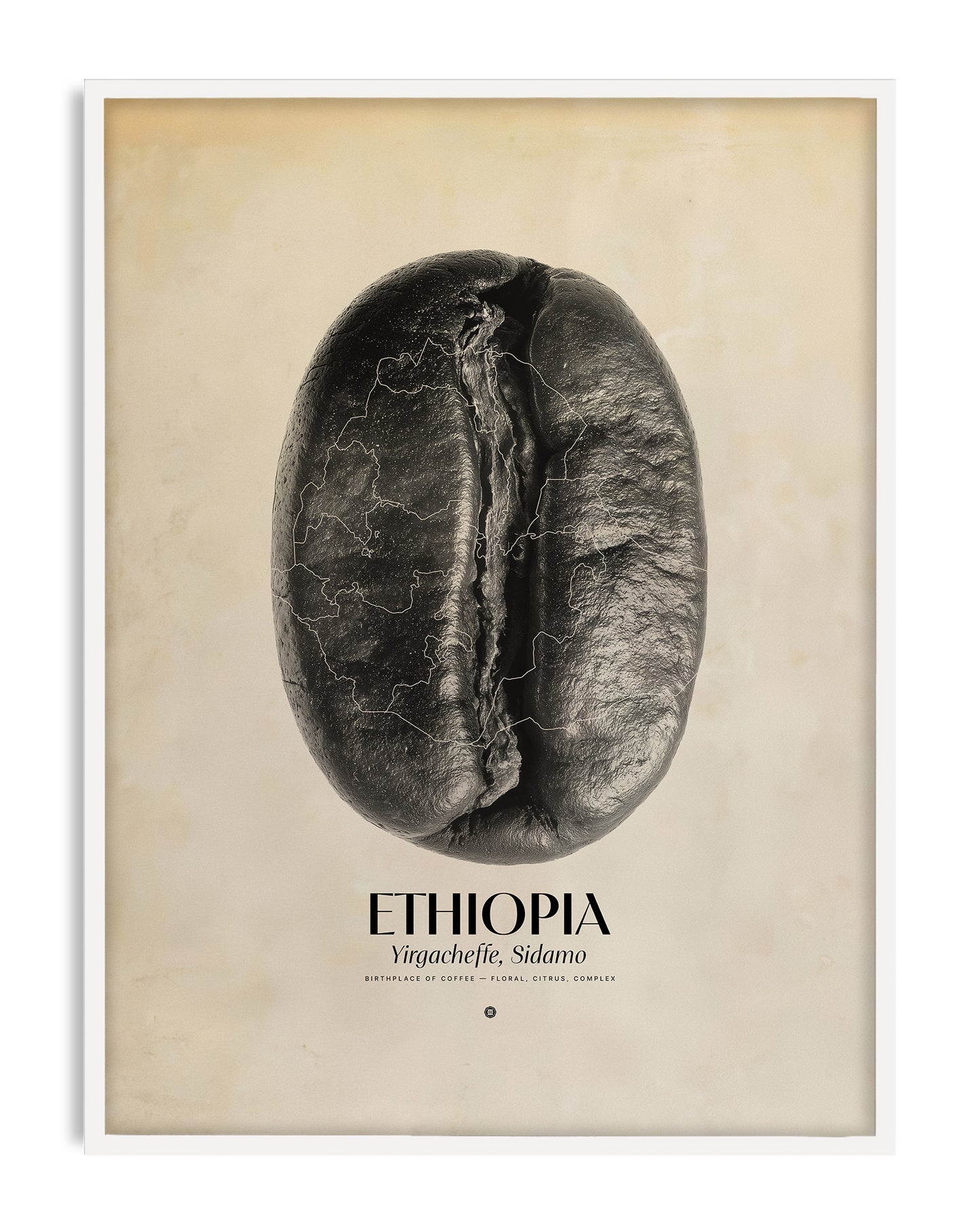 White-framed Ethiopia Yirgacheffe, Sidamo art print featuring a black coffee bean with map outlines.
