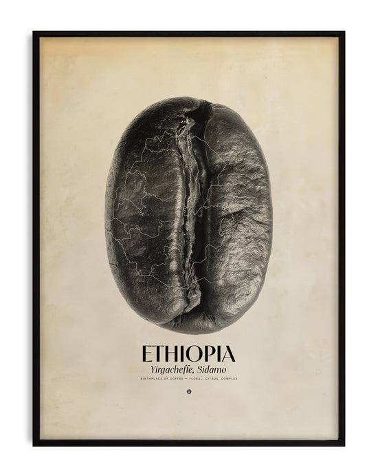 Ethiopia Coffee Origins