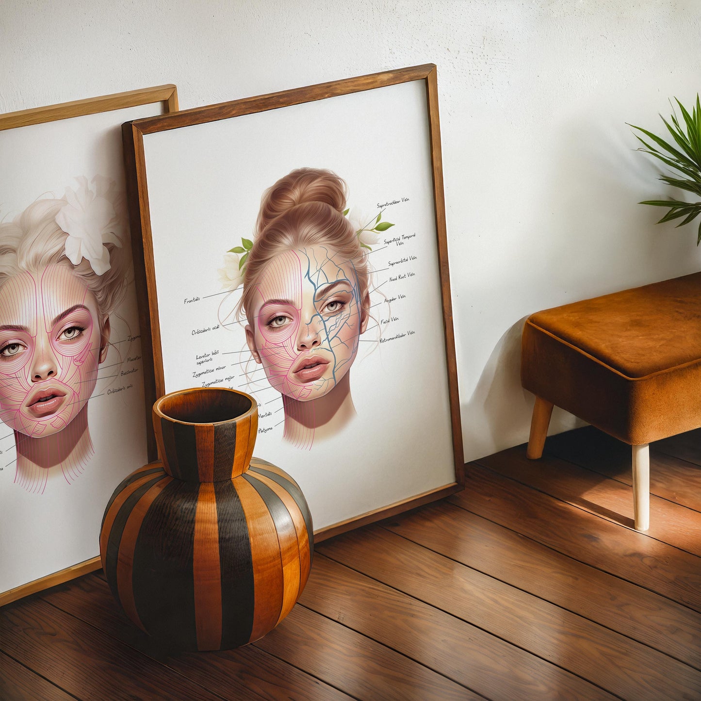 Facial anatomy illustration set of a blonde woman showing muscles and veins, designed for estheticians and med spas