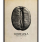 Black-framed Guatemala coffee origins artwork featuring a black-and-white coffee bean overlaid with map lines on a cream background.
