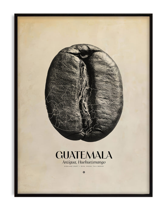 Guatemala Coffee Origins