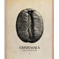 Oak-framed Guatemala coffee origins artwork featuring a black-and-white coffee bean overlaid with map lines on a cream background.