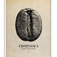 White-framed Guatemala coffee origins artwork featuring a black-and-white coffee bean overlaid with map lines on a cream background.