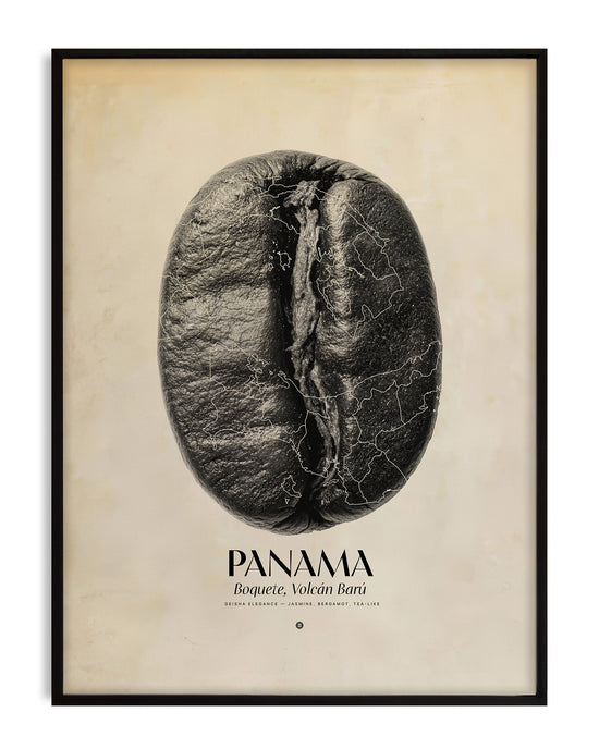 Panama Coffee Origins Print