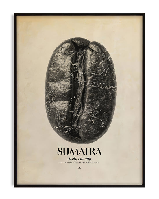 Sumatra Coffee Origins