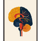 Brain in Abstract