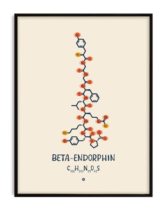 Beta-Endorphin molecule wall art print showing the chemical structure in a minimalist design