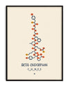 Beta-Endorphin molecule wall art print showing the chemical structure in a minimalist design