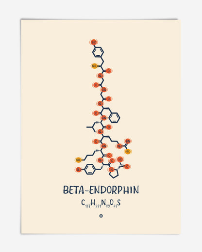Unframed beta-endorphin art print with a molecular structure diagram and chemical formula on a cream background.