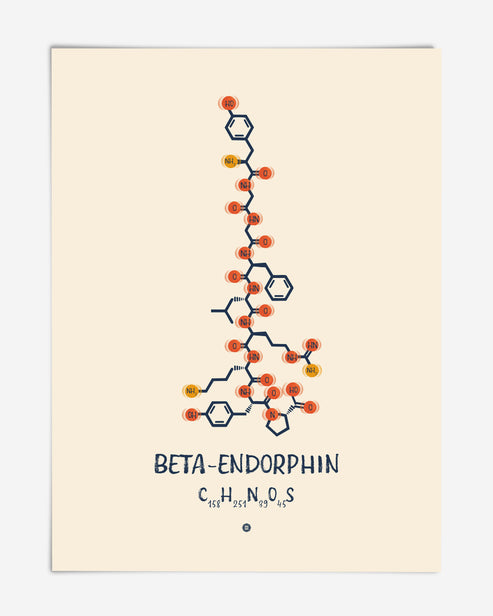 Unframed beta-endorphin art print with a molecular structure diagram and chemical formula on a cream background.