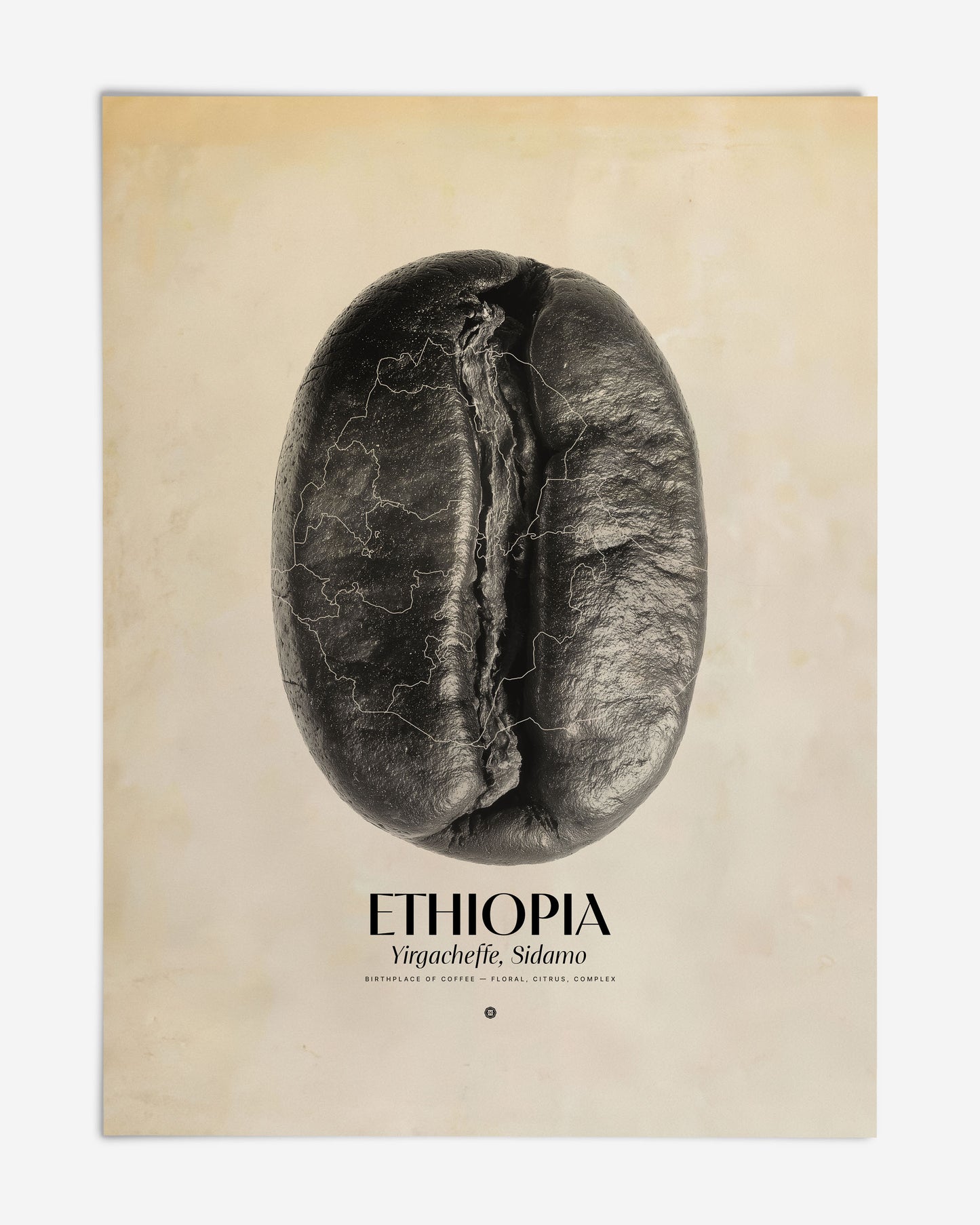 Unframed Ethiopia Yirgacheffe, Sidamo art print featuring a black coffee bean overlaid with map outlines.