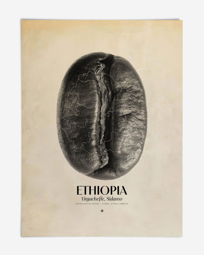 Unframed Ethiopia Yirgacheffe, Sidamo art print featuring a black coffee bean overlaid with map outlines.