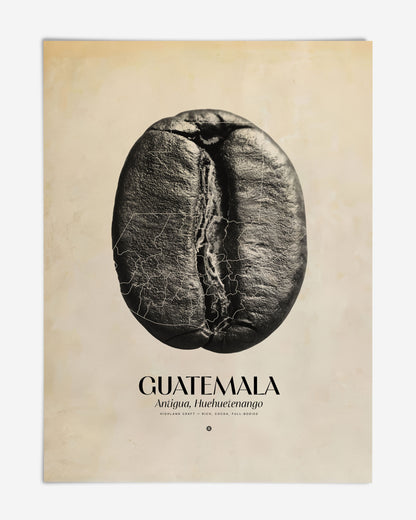Unframed Guatemala coffee origins art print featuring a black-and-white coffee bean with map lines on a cream background.