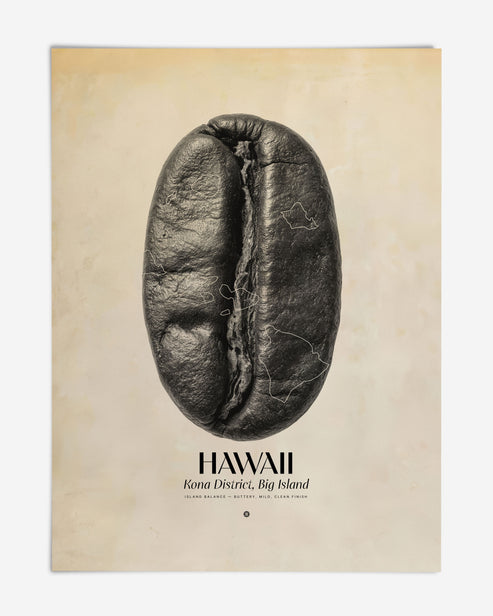 Unframed Hawaii Kona coffee art print featuring an enlarged coffee bean with island outlines.