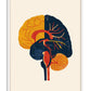 White-framed abstract anatomical brain artwork in mustard yellow, navy blue, red, and orange on a cream background.