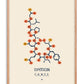 Oak-framed oxytocin artwork showing a navy molecular structure with orange and yellow chemical groups on a cream background.
