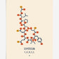 Unframed oxytocin art print showing a navy molecular structure with orange and yellow chemical groups on a cream background.