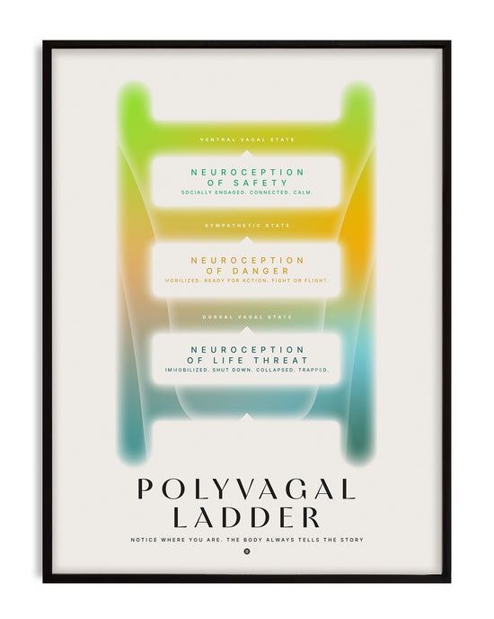 Polyvagal ladder diagram showing nervous system states, designed for therapists and mental health spaces