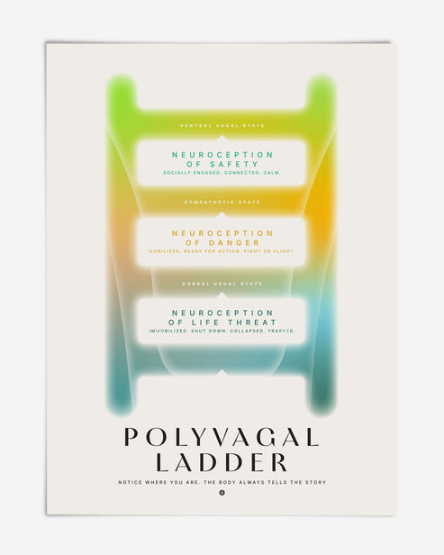 Unframed Polyvagal Ladder diagram in green, yellow, and teal showing neuroception of safety, danger, and life threat.
