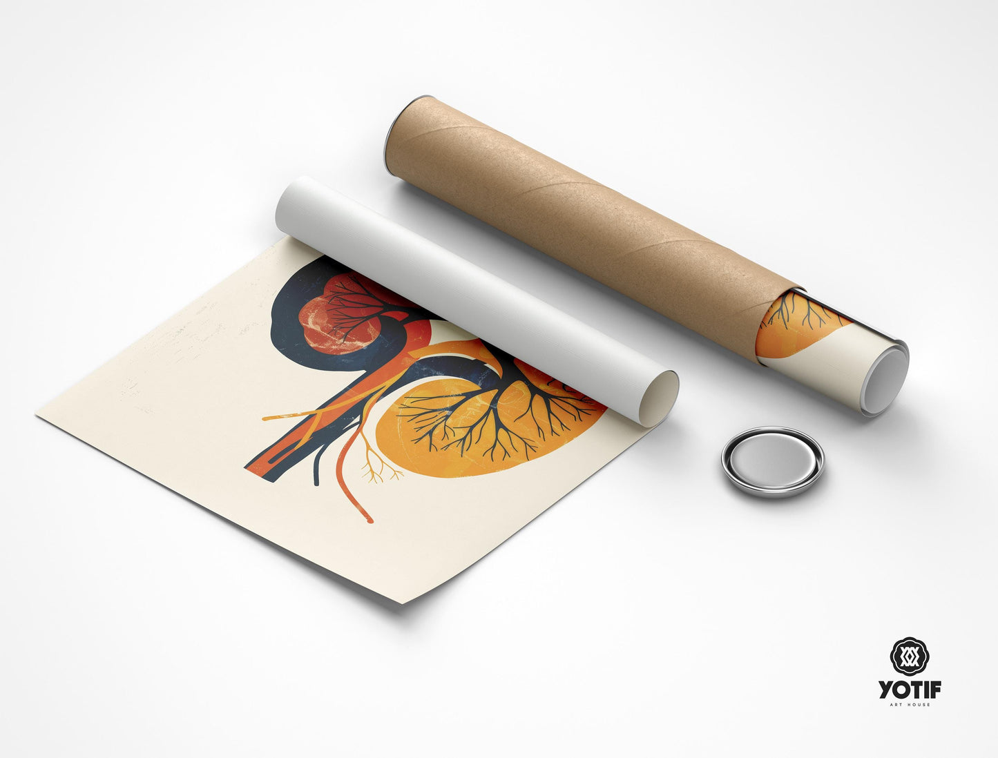 Rolled abstract art print of a human kidneys in a modern, minimal style