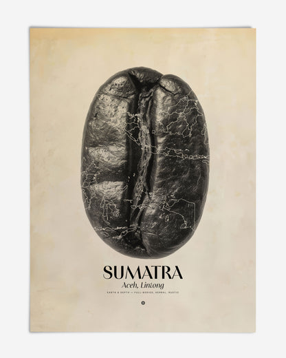 Unframed Sumatra Aceh, Lintong art print featuring a black coffee bean overlaid with map outlines.