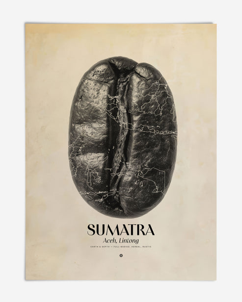 Unframed Sumatra Aceh, Lintong art print featuring a black coffee bean overlaid with map outlines.